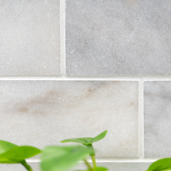 MSI Greecian White 3" x 6" Polished Marble Subway Tile & Reviews Wayfair